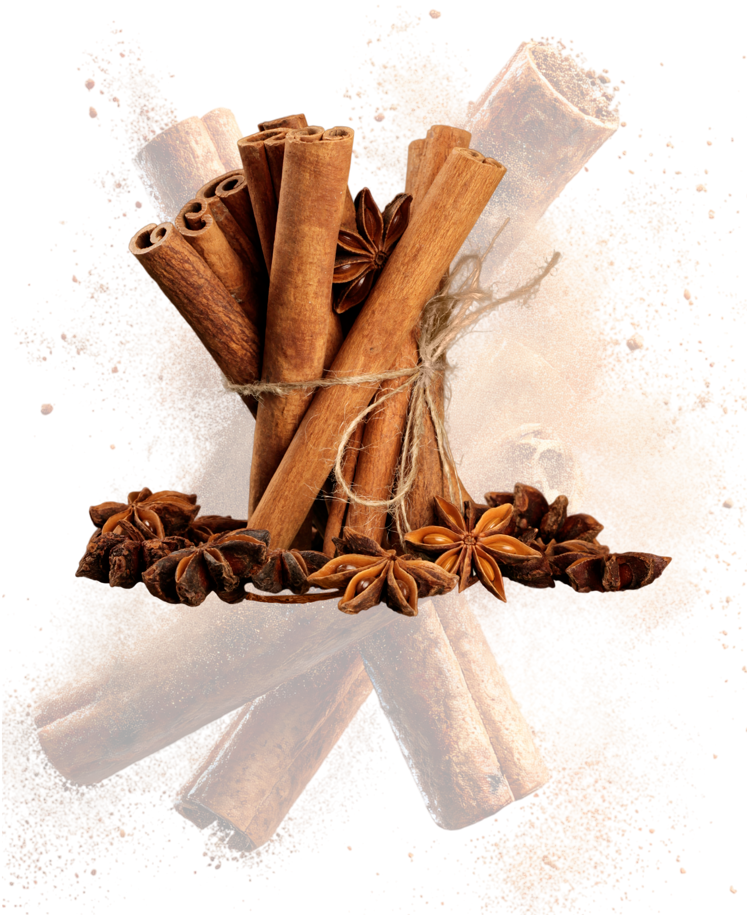Premium Ceylon Cinnamon
